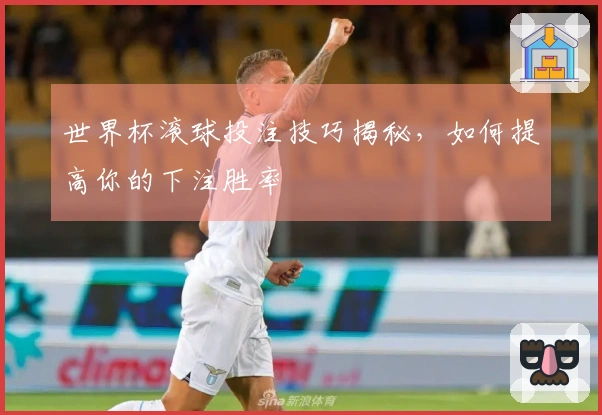 世界杯滚球投注技巧揭秘，如何提高你的下注胜率