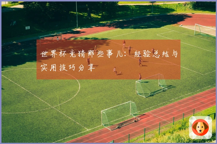 世界杯竞猜那些事儿：经验总结与实用技巧分享