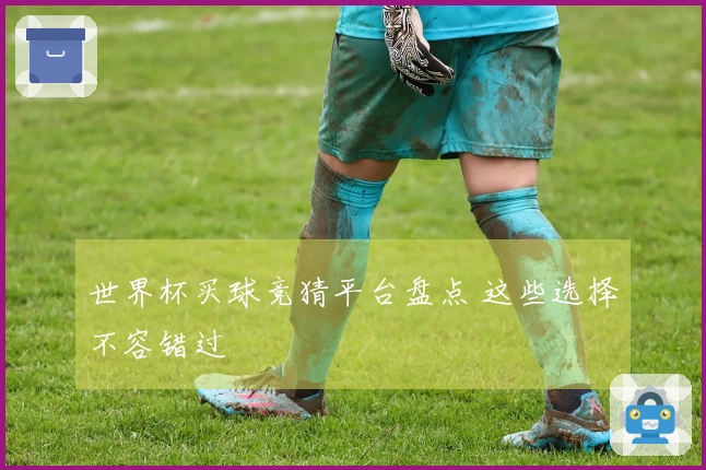 世界杯买球竞猜平台盘点 这些选择不容错过