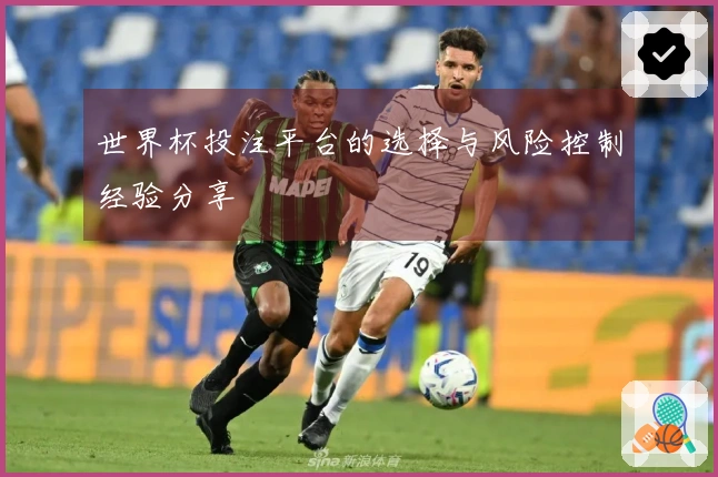 世界杯投注平台的选择与风险控制经验分享