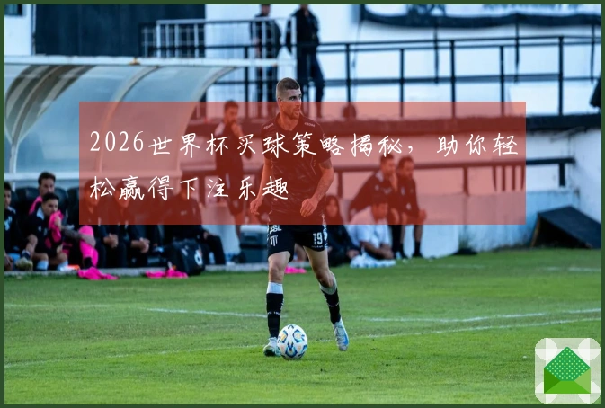 2026世界杯买球策略揭秘，助你轻松赢得下注乐趣