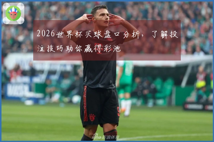 2026世界杯买球盘口分析，了解投注技巧助你赢得彩池