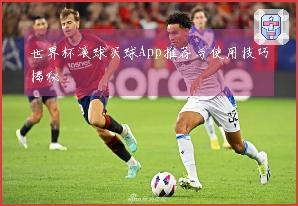 世界杯滚球买球App推荐与使用技巧揭秘