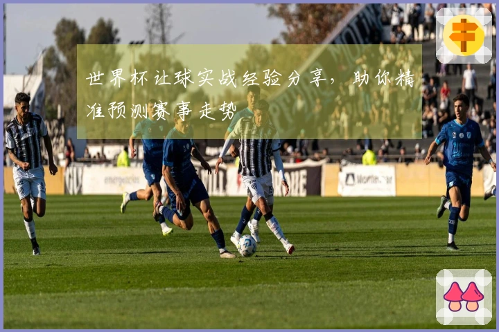 世界杯让球实战经验分享，助你精准预测赛事走势