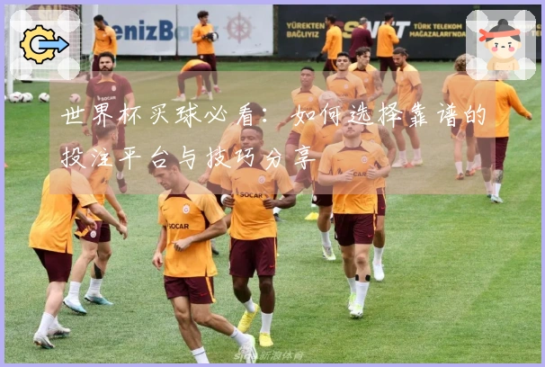 世界杯买球必看：如何选择靠谱的投注平台与技巧分享