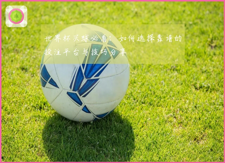 世界杯买球必看：如何选择靠谱的投注平台与技巧分享