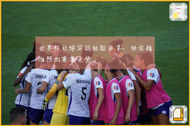 世界杯让球实战经验分享，助你精准预测赛事走势