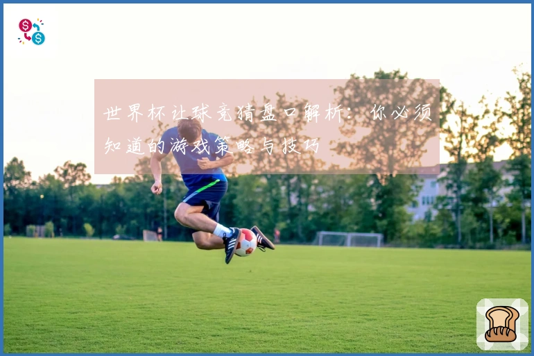 世界杯让球竞猜盘口解析：你必须知道的游戏策略与技巧