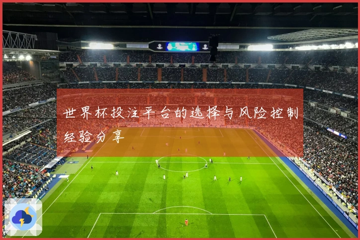 世界杯投注平台的选择与风险控制经验分享