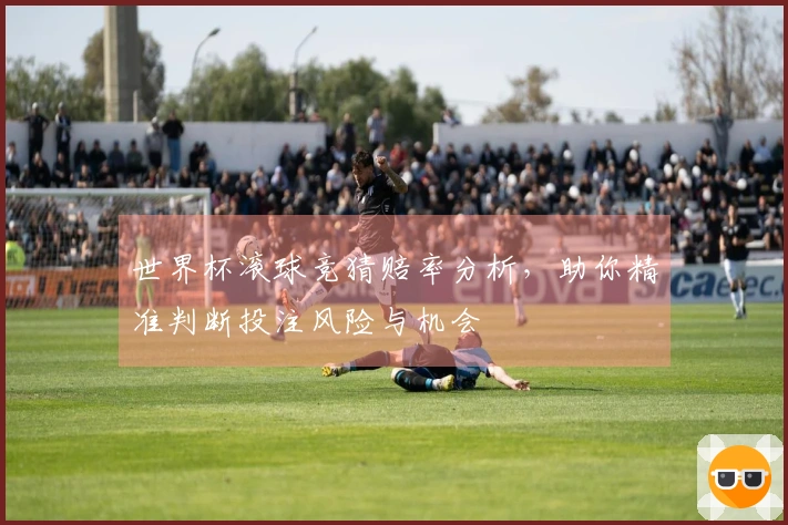 世界杯滚球竞猜赔率分析，助你精准判断投注风险与机会