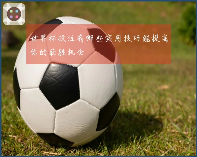 世界杯投注有哪些实用技巧能提高你的获胜机会