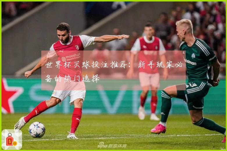 世界杯买球投注推荐：新手玩家必备的热门选择