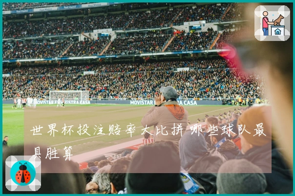 世界杯投注赔率大比拼 哪些球队最具胜算