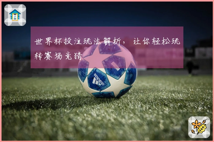 世界杯投注玩法解析，让你轻松玩转赛场竞猜