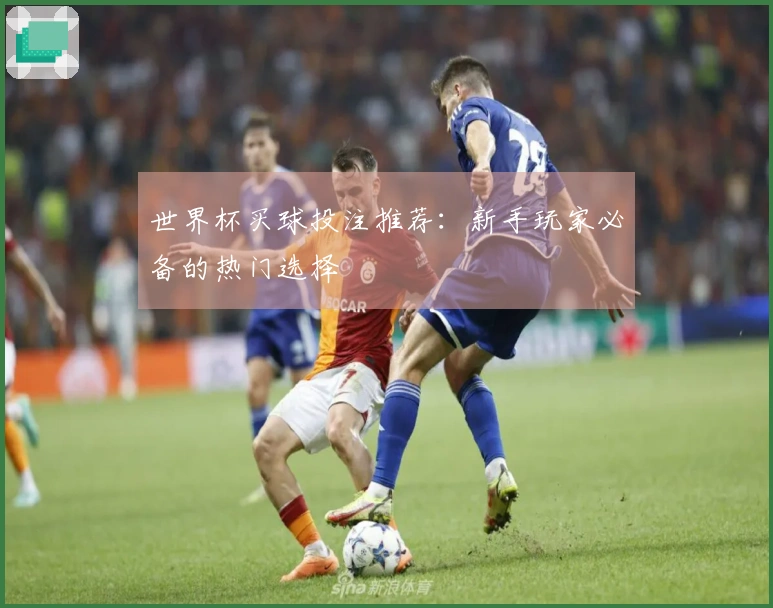世界杯买球投注推荐：新手玩家必备的热门选择